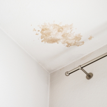 Active water leak damage and brown water stains on a residential ceiling