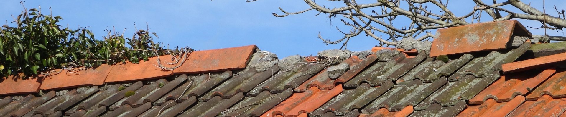 Comprehensive roof ridge repairs and re-pointing project in Bryanston