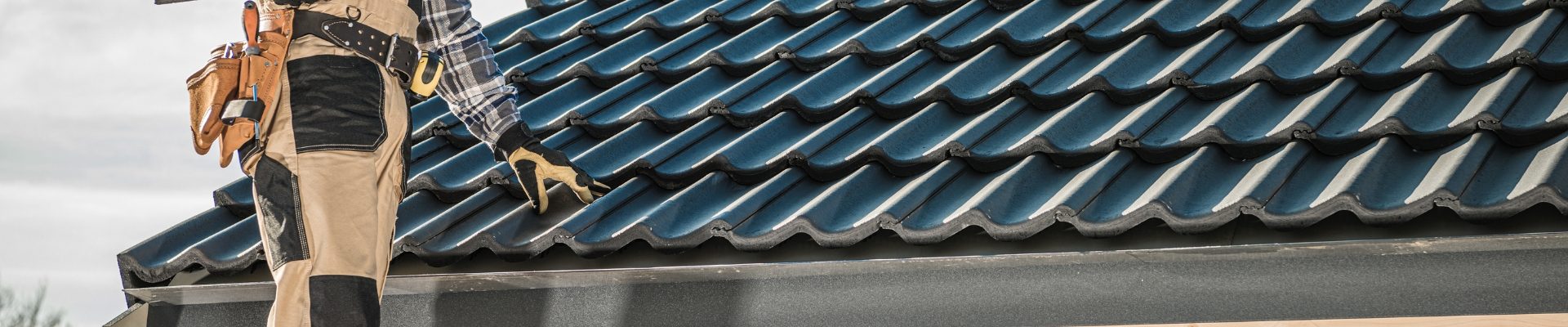 Expert roof painting and protective coating project in Douglasdale