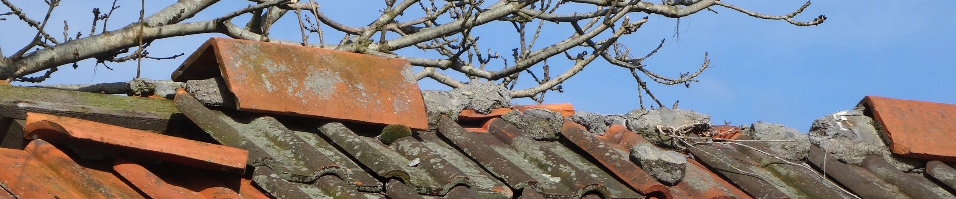 Professional roof ridge repairs and weather-sealing in Lonehill