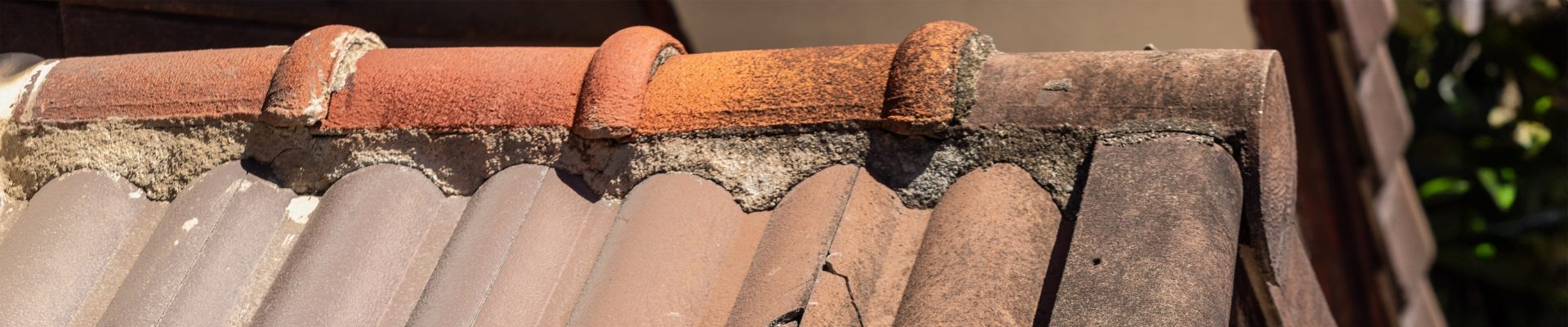 Professional roof ridge repairs and re-pointing on an estate property in Magaliessig