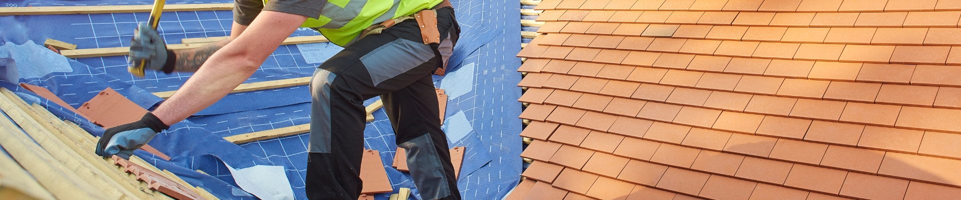 Professional roof maintenance and preventative care on an estate property in Magaliessig