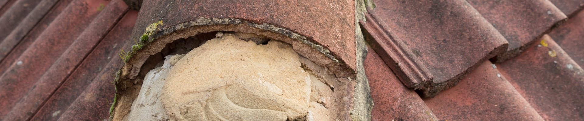 Morningside Roof Ridge Repairs Expert roof ridge repairs and mortar pointing on a home in Morningside