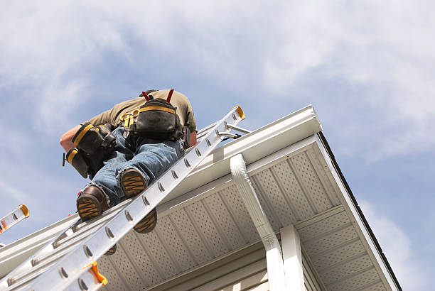 Roof Maintenance